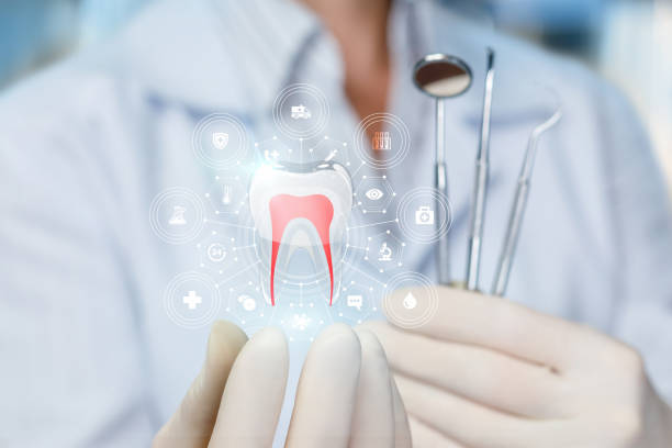 Best Root Canal Treatment  in Fall River, MA